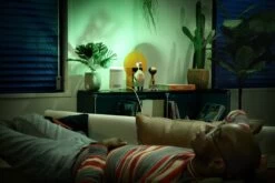 Samsung The Freestyle Projector LSP3B – Smart Mini Beamer -Bosch Winkel 1200x800 3